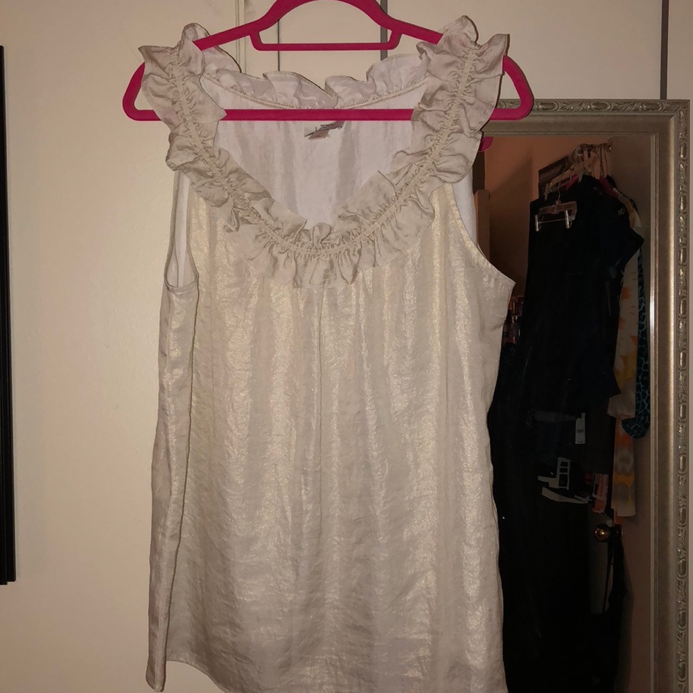 Ann Taylor LOFT Top XL